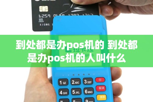 到处都是办pos机的 到处都是办pos机的人叫什么