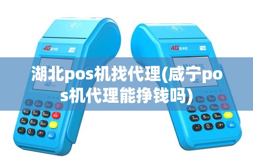 湖北pos机找代理(咸宁pos机代理能挣钱吗)