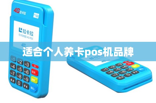 适合个人养卡pos机品牌