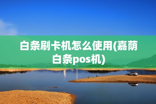 白条刷卡机怎么使用(嘉荫白条pos机)