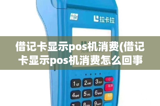 借记卡显示pos机消费(借记卡显示pos机消费怎么回事)