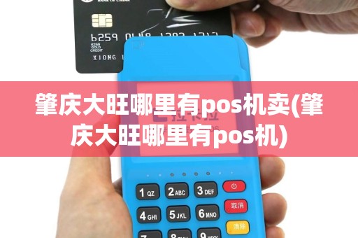 肇庆大旺哪里有pos机卖(肇庆大旺哪里有pos机)