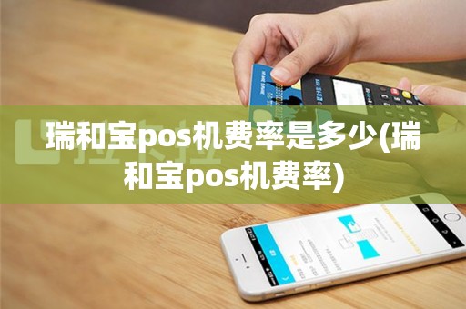 瑞和宝pos机费率是多少(瑞和宝pos机费率)