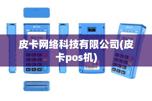 皮卡网络科技有限公司(皮卡pos机)