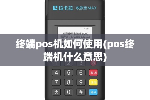 终端pos机如何使用(pos终端机什么意思)