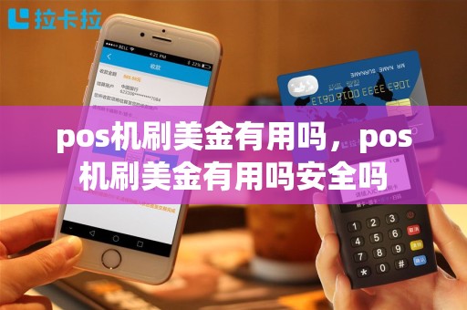 pos机刷美金有用吗，pos机刷美金有用吗安全吗