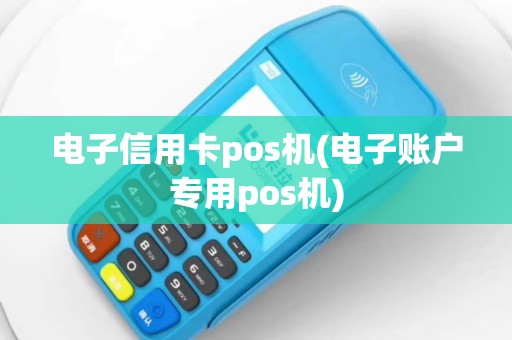 电子信用卡pos机(电子账户专用pos机)
