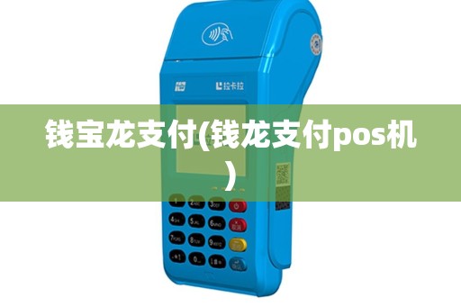 钱宝龙支付(钱龙支付pos机)