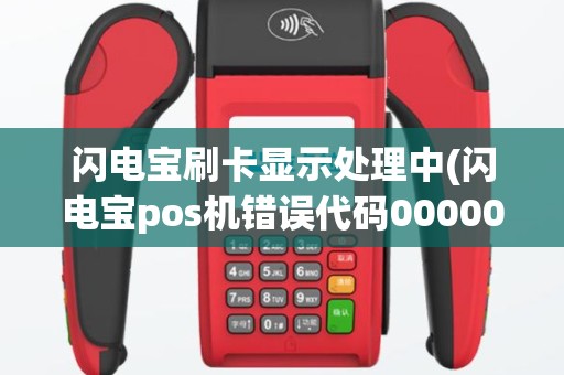 闪电宝刷卡显示处理中(闪电宝pos机错误代码000001)