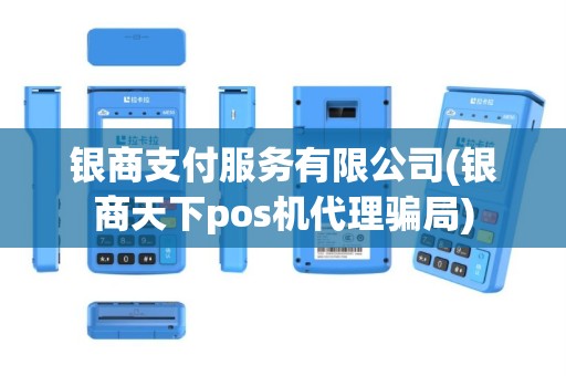 银商支付服务有限公司(银商天下pos机代理骗局)