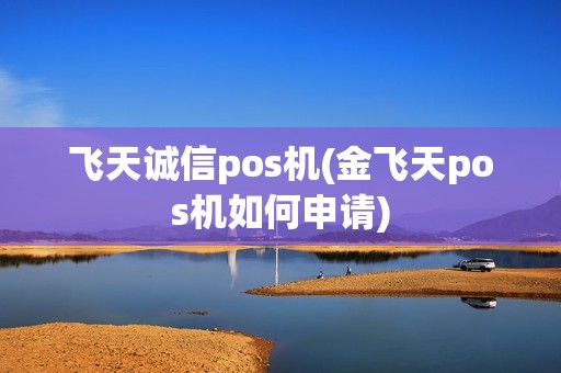 飞天诚信pos机(金飞天pos机如何申请)