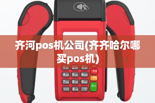 齐河pos机公司(齐齐哈尔哪买pos机)