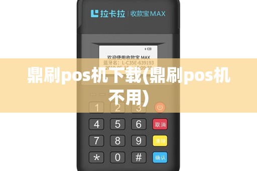 鼎刷pos机下载(鼎刷pos机不用)