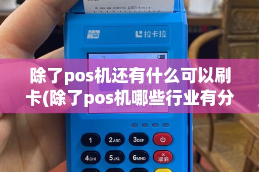 除了pos机还有什么可以刷卡(除了pos机哪些行业有分润)