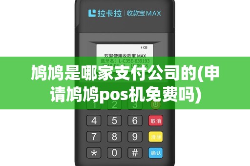 鸠鸠是哪家支付公司的(申请鸠鸠pos机免费吗)