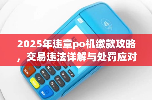 2025年违章po机缴款攻略，交易违法详解与处罚应对