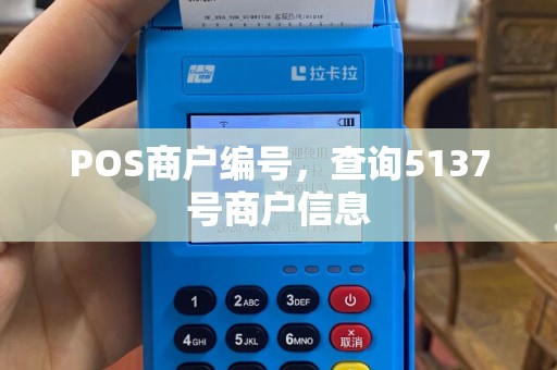 POS商户编号，查询5137号商户信息