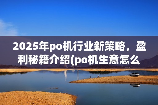 2025年po机行业新策略，盈利秘籍介绍(po机生意怎么做好(po机生意怎么做好))