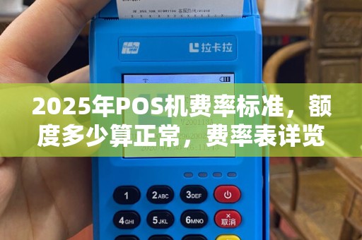 2025年POS机费率标准，额度多少算正常，费率表详览