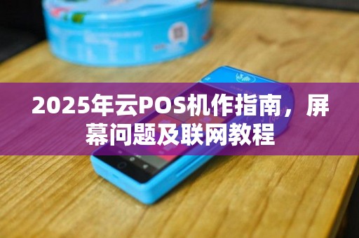 2025年云POS机作指南，屏幕问题及联网教程