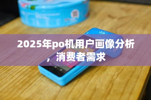 2025年po机用户画像分析，消费者需求