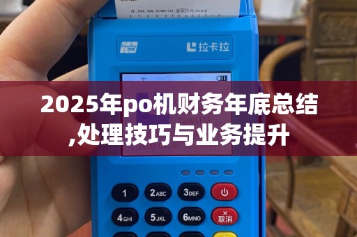 2025年po机财务年底总结,处理技巧与业务提升