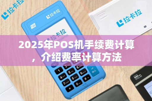 2025年POS机手续费计算，介绍费率计算方法