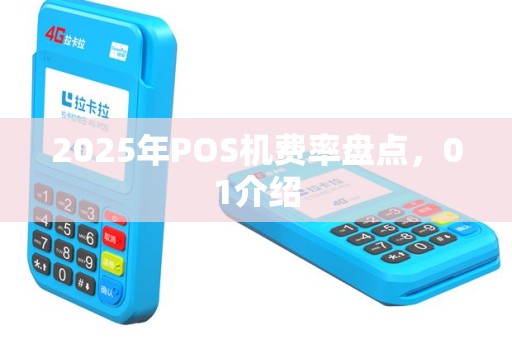 2025年POS机费率盘点，01介绍