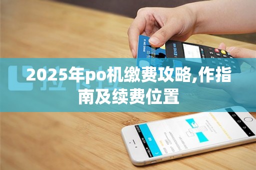 2025年po机缴费攻略,作指南及续费位置