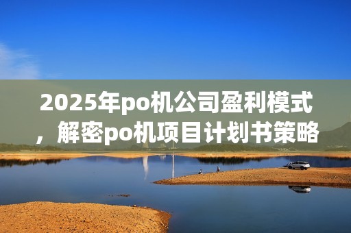 2025年po机公司盈利模式，解密po机项目计划书策略