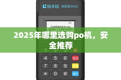 2025年哪里选购po机，安全推荐