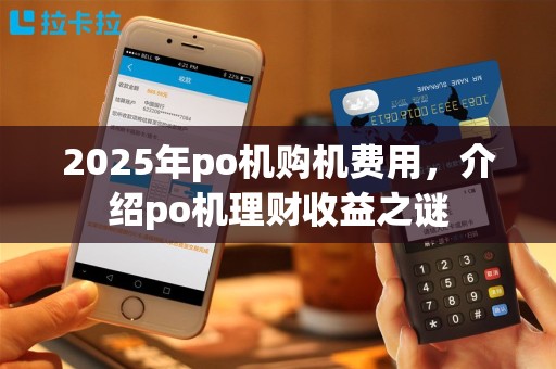 2025年po机购机费用，介绍po机理财收益之谜