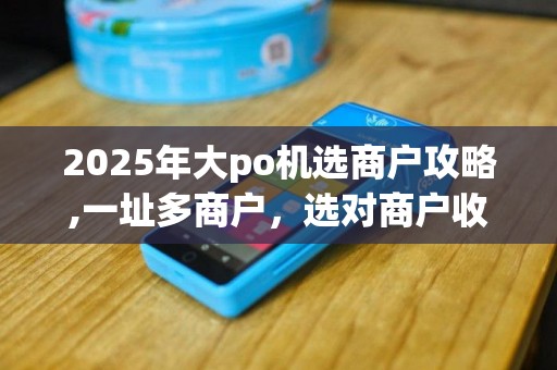 2025年大po机选商户攻略,一址多商户，选对商户收益高