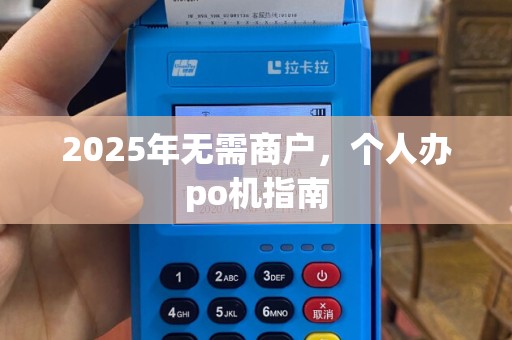 2025年无需商户，个人办po机指南