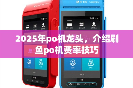 2025年po机龙头，介绍刷鱼po机费率技巧