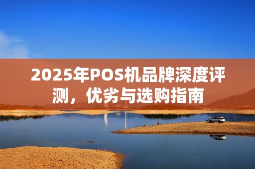 2025年POS机品牌深度评测，优劣与选购指南