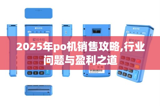 2025年po机销售攻略,行业问题与盈利之道