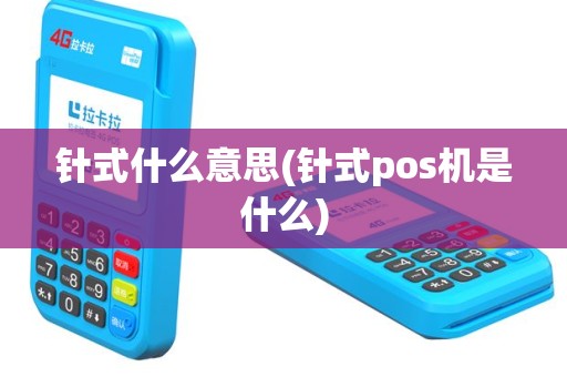 针式什么意思(针式pos机是什么)