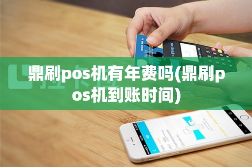 鼎刷pos机有年费吗(鼎刷pos机到账时间)