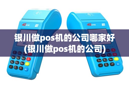 银川做pos机的公司哪家好(银川做pos机的公司)