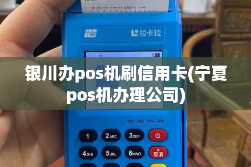 银川办pos机刷信用卡(宁夏pos机办理公司)