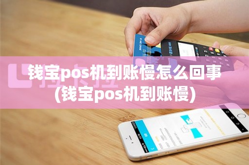 钱宝pos机到账慢怎么回事(钱宝pos机到账慢)
