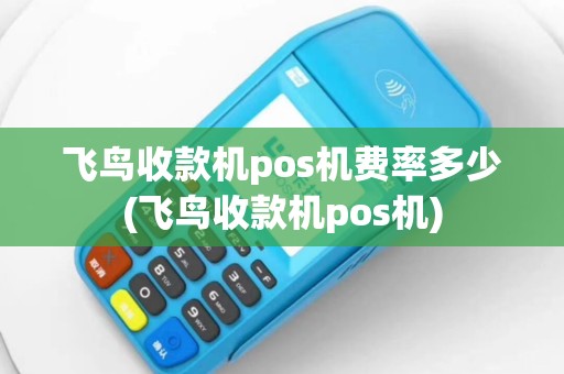 飞鸟收款机pos机费率多少(飞鸟收款机pos机)