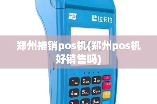 郑州推销pos机(郑州pos机好销售吗)