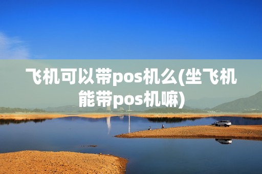 飞机可以带pos机么(坐飞机能带pos机嘛)
