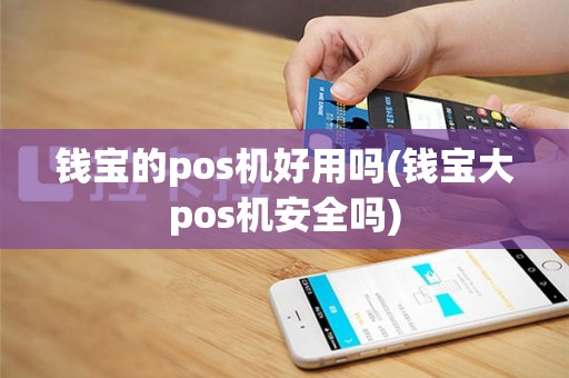 钱宝的pos机好用吗(钱宝大pos机安全吗)