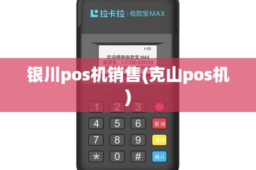 银川pos机销售(克山pos机)