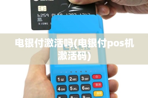 电银付激活吗(电银付pos机激活码)
