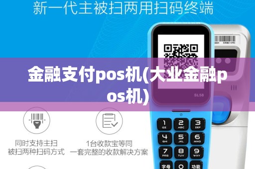 金融支付pos机(大业金融pos机)