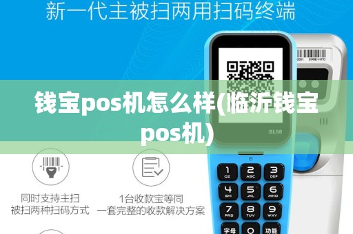 钱宝pos机怎么样(临沂钱宝pos机)
